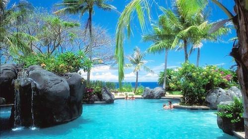 逃出奶油苹果屋